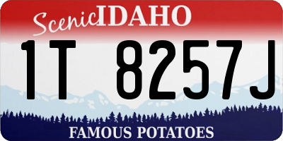 ID license plate 1T8257J