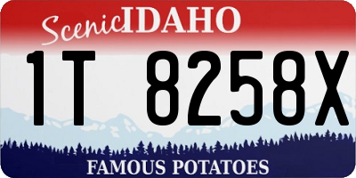 ID license plate 1T8258X