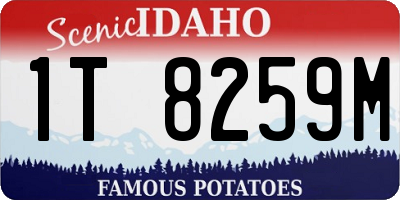 ID license plate 1T8259M