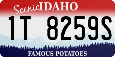 ID license plate 1T8259S