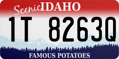 ID license plate 1T8263Q