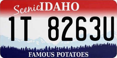 ID license plate 1T8263U