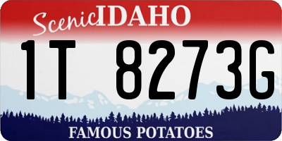ID license plate 1T8273G
