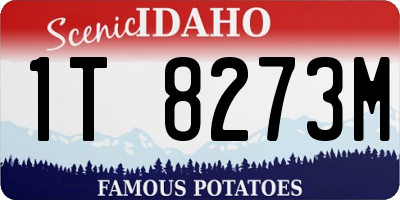 ID license plate 1T8273M