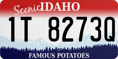 ID license plate 1T8273Q