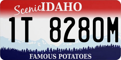 ID license plate 1T8280M