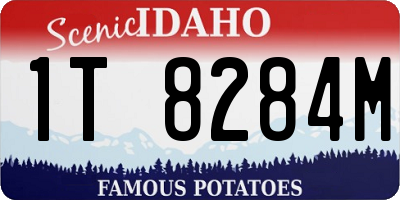 ID license plate 1T8284M