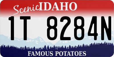 ID license plate 1T8284N