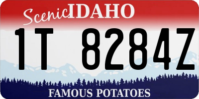 ID license plate 1T8284Z