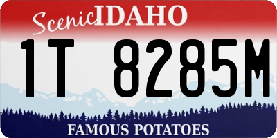 ID license plate 1T8285M