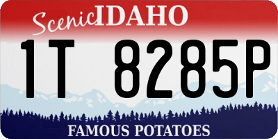 ID license plate 1T8285P