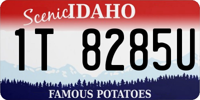 ID license plate 1T8285U