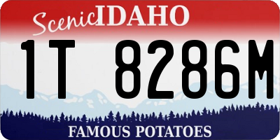 ID license plate 1T8286M