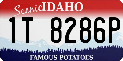 ID license plate 1T8286P
