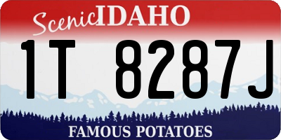 ID license plate 1T8287J
