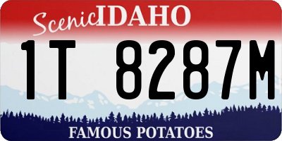 ID license plate 1T8287M