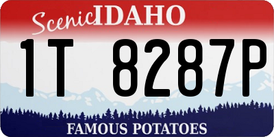 ID license plate 1T8287P