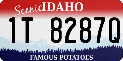 ID license plate 1T8287Q