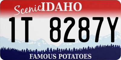 ID license plate 1T8287Y