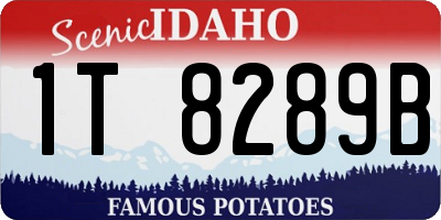 ID license plate 1T8289B