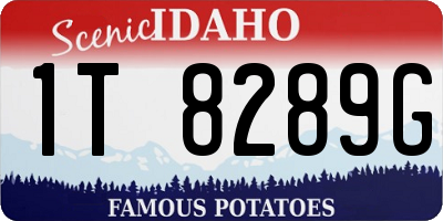 ID license plate 1T8289G