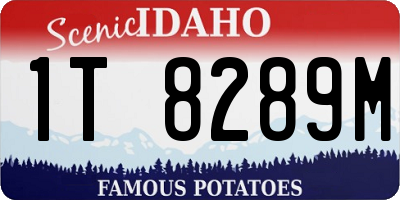 ID license plate 1T8289M