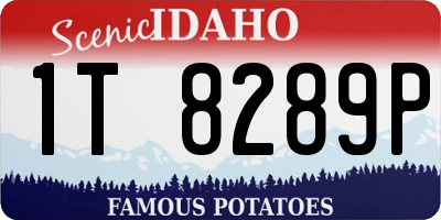 ID license plate 1T8289P