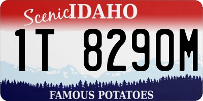 ID license plate 1T8290M