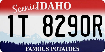 ID license plate 1T8290R