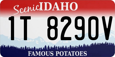 ID license plate 1T8290V