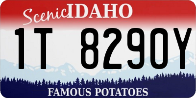 ID license plate 1T8290Y