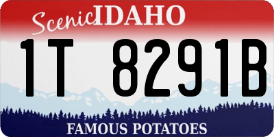ID license plate 1T8291B