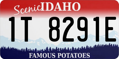 ID license plate 1T8291E