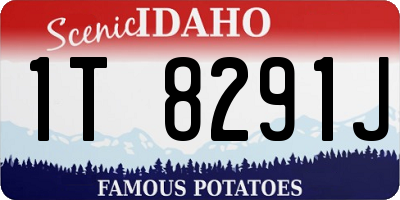 ID license plate 1T8291J