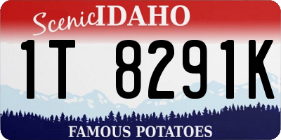ID license plate 1T8291K