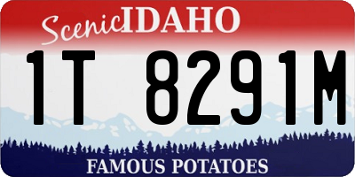 ID license plate 1T8291M