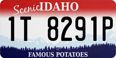 ID license plate 1T8291P
