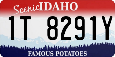 ID license plate 1T8291Y