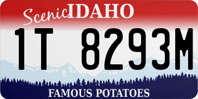 ID license plate 1T8293M