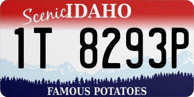 ID license plate 1T8293P