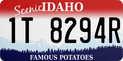 ID license plate 1T8294R