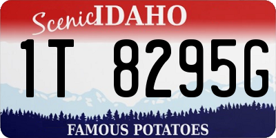 ID license plate 1T8295G