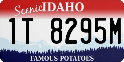 ID license plate 1T8295M