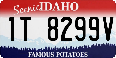 ID license plate 1T8299V