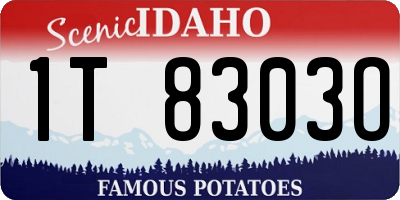 ID license plate 1T8303O