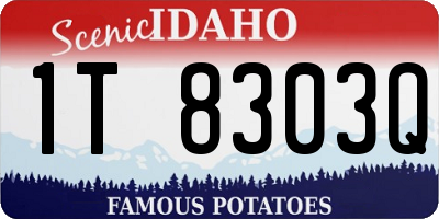 ID license plate 1T8303Q