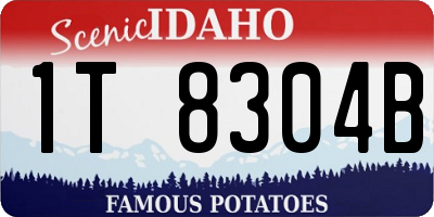 ID license plate 1T8304B