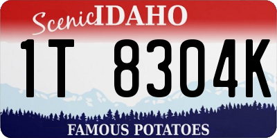 ID license plate 1T8304K