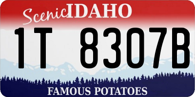 ID license plate 1T8307B