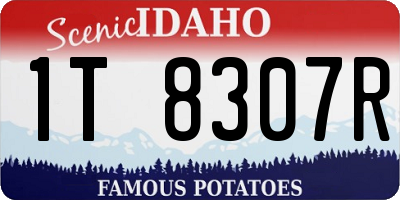 ID license plate 1T8307R